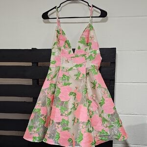 ASOS Pink and Green Floral Women Dress